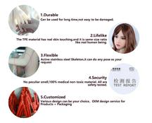 168cm 5.5.ft Factory supply real size lifelike big breast love doll silicone sex doll men with real vagina anal oral produced by AutomaticWoman